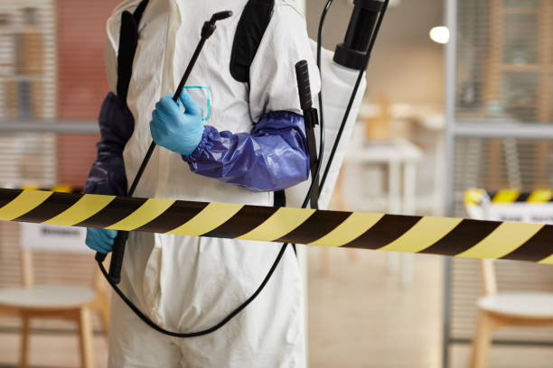 Professional Sewage Cleanup technician working in Jolon, CA